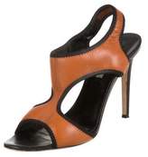 Thumbnail for your product : Diane von Furstenberg Bicolor Leather Sandals