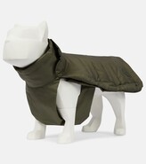 Thumbnail for your product : MONCLER GENIUS x Poldo Dog Couture dog coat