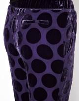 Thumbnail for your product : Sonia Rykiel Sonia by Trousers in Polka Dot Silk Velvet