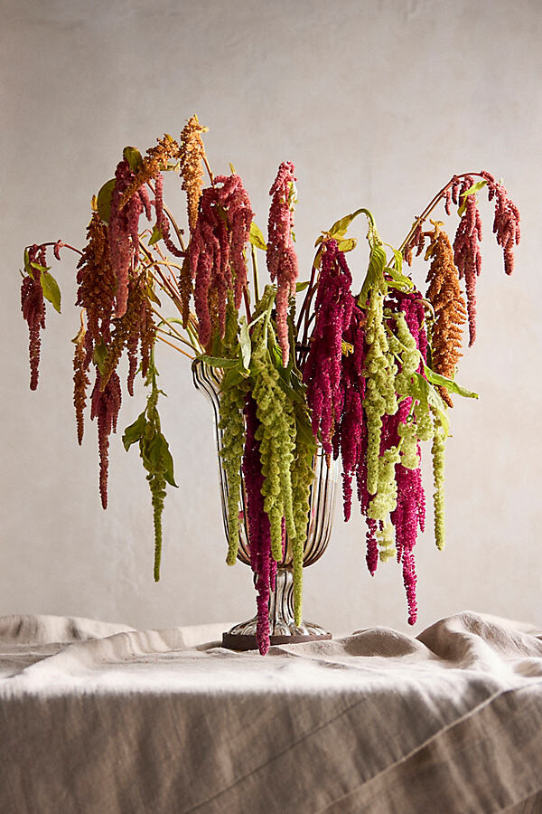 Amaranth Bunch at Terrain