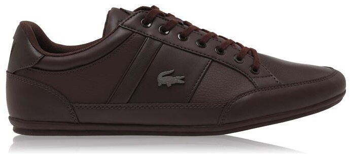 brown lacoste trainers