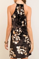 Thumbnail for your product : Entro Be Daring Dress
