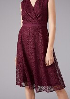 Thumbnail for your product : Phase Eight Ester Lace Fit And Flare Dress