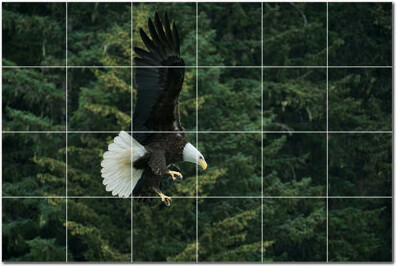 Picture-Tiles.com Bird Photo 8'' x 8'' Satin Ceramic Decorative Mural