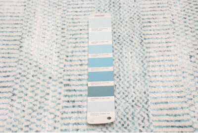 Isabelline One-of-a-Kind 9'2\