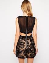 Thumbnail for your product : Style Stalker Stylestalker Night Fever Lace Cut Out Dress