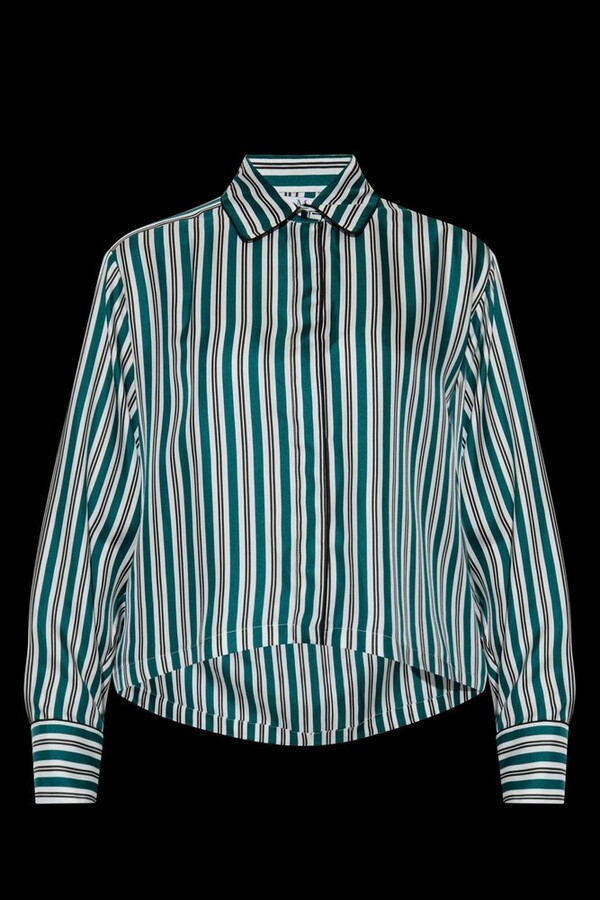 Max Mara Brama Striped Button-Up Shirt
