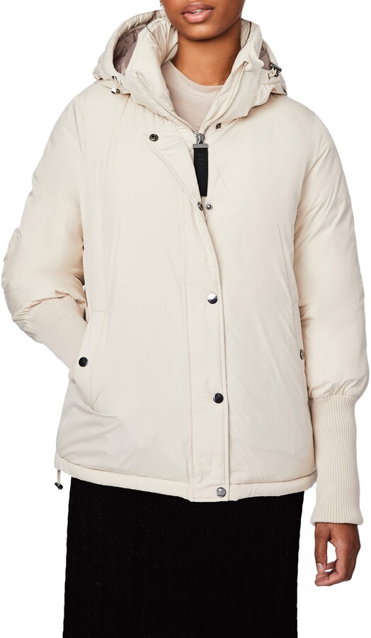 bernardo thermoplume