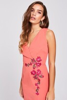 Thumbnail for your product : Little Mistress Casey Grapefruit Embroidered Dress
