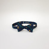 Thumbnail for your product : Polo Ralph Lauren Striped Silk Repp Club Bow Tie