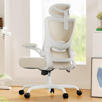 Inbox Zero Ergonomic Office Chair: Office Computer Desk Chair With High Back Mesh And Adjustable Lumbar Support Rolling Work Swivel Task Chairs With Wheel 3D Arm