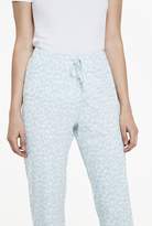 Thumbnail for your product : Long Tall Sally Abstract Penguin Print PJ Pant