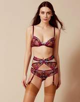 Thumbnail for your product : Agent Provocateur Bluebelle Bra Burgundy - 32B