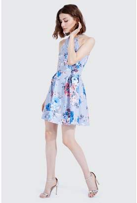 Select Fashion Fashion English Rose Halter Neck Skater Dress Dresses - size 16