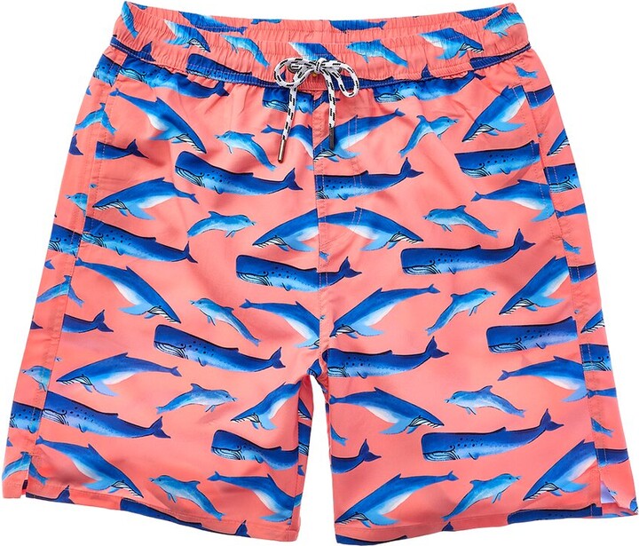 Snapper Rock Whale Tail Swim Short