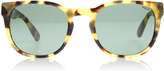 Thumbnail for your product : Polo Ralph Lauren PH4099 Sunglasses Brown / Jerry Tortoise 501773 52mm