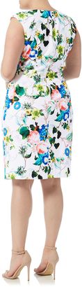 Adrianna Papell Cap Sleeve Floral Dress
