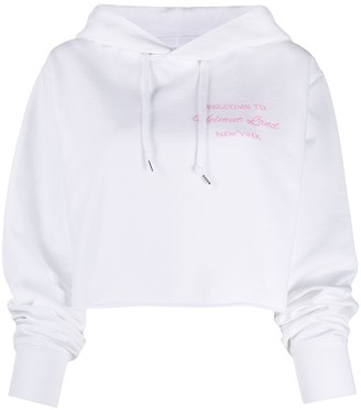 helmut lang crop hoodie