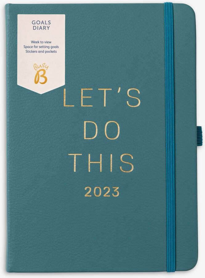 Busy B Goals Diary, 2023, Pine ShopStyle Decor