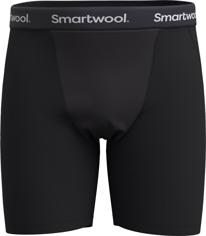 Smartwool Wind Boxer Briefs