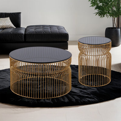 Hokku Designs Contemporary Metal Nested Base Tinted Top Material 30" Round Coffee Table Only The Table, No Chairs.