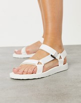 tevas price