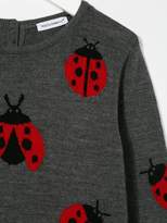 Thumbnail for your product : Dolce & Gabbana Kids ladybug knitted dress