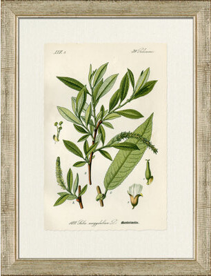 Wendover Art Group Mandelweide - Picture Frame Painting on Paper