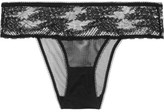 Thumbnail for your product : Stella McCartney Georgia Glowing stretch-lace briefs