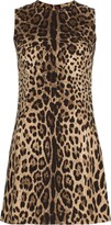 Thumbnail for your product : Dolce & Gabbana leopard-print A-line minidress