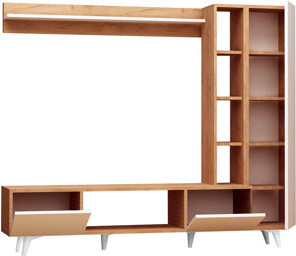 Entertainment Center for TVs up to 55"