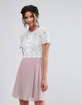 Thumbnail for your product : Elise Ryan Skater Dress With Corded Lace Upper
