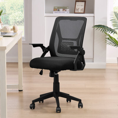 Inbox Zero Norrin Ergonomic Mesh Office Chair with Lumbar Support, Flip-Up Arms, Adjustable Height and Tilt, Swivel Computer Desk Chair with Wheels for Home or O