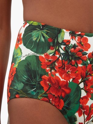 Dolce & Gabbana Portofino Floral-print High-rise Bikini Briefs - Red Print