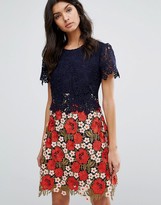 Thumbnail for your product : Whistles Olivia Lace Dress