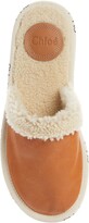 Thumbnail for your product : Chloé Woody Genuine Shearling Lined Mule