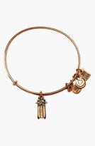 Thumbnail for your product : Alex and Ani 'Team USA - Sled' Expandable Wire Bangle