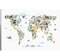 Thumbnail for your product : iCanvas 'Animal Map of the World' Graphic Art Print Format: White Frame,