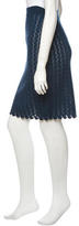 Thumbnail for your product : Chloé Skirt