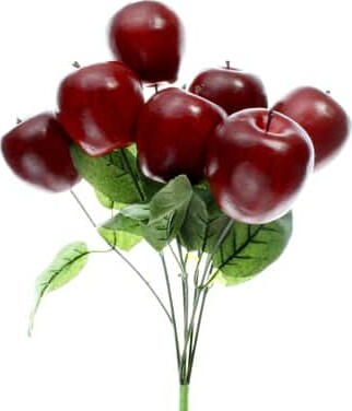 8 Pack: Red Apple Bush by Ashland®