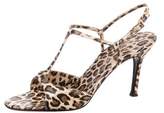 Thumbnail for your product : Dolce & Gabbana Animal Print Ankle Strap Sandals