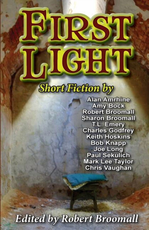 First Light : Short Fiction (Paperback)