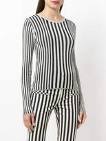 Thumbnail for your product : Altuzarra striped fitted sweater