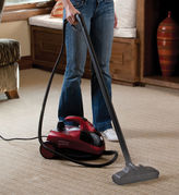 Thumbnail for your product : Gaiam Steam Dynamo Cleaner