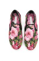 Thumbnail for your product : Dolce & Gabbana Kids rose print sneakers