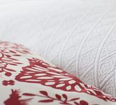 Thumbnail for your product : Pottery Barn Sham