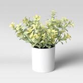 Thumbnail for your product : Threshold 9" x 6" Artificial Boxwood Arrangement