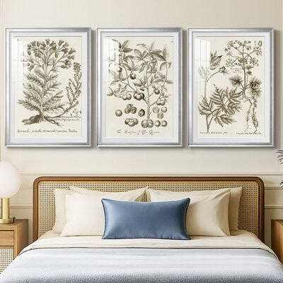 Red Barrel Studio Sepia Botanical Journal I -Custom Framed Premium Print W Matt - 3 Pieces