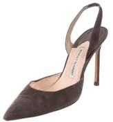 Thumbnail for your product : Manolo Blahnik Suede Carolyne Pumps