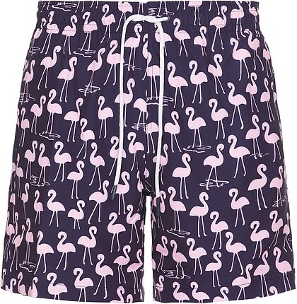 Trunks Surf & Swim Co. Sano 6.5 Swim Short